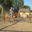 Photo #3: Do you love horses? Want to learn to ride?
