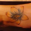 Photo #5: Dragon Ray Boise. Tattoo and Body Piercing