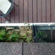 Photo #3: Gutter cleaning, reapair, replacement. NO HIDDEN COST!!!