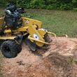Photo #1: Northland and Eastern Stump removal / Stump grinding