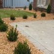 Photo #2: Maderos Lawn & Landscaping, LLC