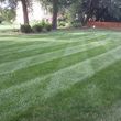 Photo #2: Noah's Lawn Care. MOWING $30