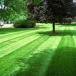 Photo #3: Affordable Lawn Care. Leaf Removal. Edging...