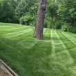 Photo #7: C&C Complete Lawn Care