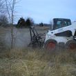 Photo #4: Pasture Clearing, Land Clearing