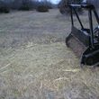Photo #3: Pasture Clearing, Land Clearing
