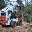 Photo #1: Pasture Clearing, Land Clearing