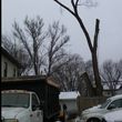 Photo #7: FREDY'S TREE SERVICES. FULLY INSURED! TREE TRIMMING AND REMOVAL