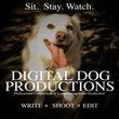 Photo #1: Digital Dog Productions. Video Production Service