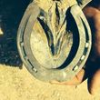 Photo #1: Reliable, Skilled Certified Journeyman Farrier