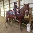 Photo #1: Riding lessons beginner to advanced