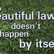 Photo #1: Lawns mowed for $30