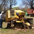 Photo #1: BALL'S STUMP GRINDING