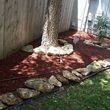 Photo #1: Spring clean up... any landscaping job