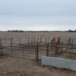 Photo #1: AG Fence Services / Pasture-clearing/ Hedge Posts