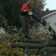 Photo #3: LOW COST JAMES LAWN & PROPERTY CARE / TREE SERVICE. $20 - $30 PER VISIT