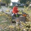 Photo #2: LOW COST JAMES LAWN & PROPERTY CARE / TREE SERVICE. $20 - $30 PER VISIT