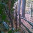 Photo #4: Deer Solutions. Fence Installer- New Deer & Garden Fence Systems