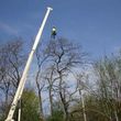 Photo #4: RELIABLE CRANE LTD. (VERY EXPERIENCED AT TREE WORK!)