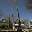 Photo #1: RELIABLE CRANE LTD. (VERY EXPERIENCED AT TREE WORK!)