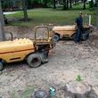 Photo #4: Affordable Stump Grinding by Bryan for $15/piece