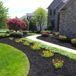 Photo #10: Omar's Worldscapes Landscaping and Tree Services