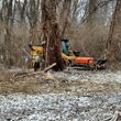 Photo #4: JP Outdoor Services - Land / Brush Clearing services