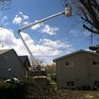 Photo #2: MZ Tree Service LLC - Insured