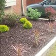 Photo #9: HunterGreen Services. Spring is here! We dont just cut! Get an estimate now! $20 per visit