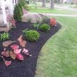 Photo #5: HunterGreen Services. Spring is here! We dont just cut! Get an estimate now! $20 per visit
