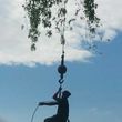 Photo #9: Thompson Tree Service