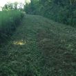 Photo #6: Black River Products and Services - Brush clearing, gravel driveway reshaping/grading, soil grading...