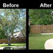 Photo #1: BIGMAN TREE TRIMMING & REMOVAL SERVICES...