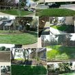 Photo #22: Torres Landscaping and Concrete (sprinklers system, sod, plants/concrete curbing, colored concrete)