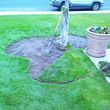 Photo #1: LAWN SERVICE FOR LESS! Beat any Price!  $35-$45