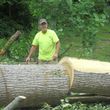 Photo #4: Genesis Construction LLC - Demos, Home Improvement & Tree Removals