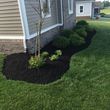 Photo #9: T&D Turf Management - INSURED - Mowing, Landscaping and MORE