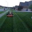 Photo #8: T&D Turf Management - INSURED - Mowing, Landscaping and MORE