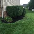 Photo #6: T&D Turf Management - INSURED - Mowing, Landscaping and MORE