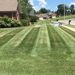Photo #5: T&D Turf Management - INSURED - Mowing, Landscaping and MORE
