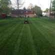Photo #3: T&D Turf Management - INSURED - Mowing, Landscaping and MORE