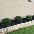 Photo #2: T&D Turf Management - INSURED - Mowing, Landscaping and MORE