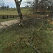 Photo #2: Madison County Absolute Tree Services