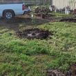 Photo #1: Landscaping at a budget. Stockton/Manteca
