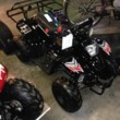 Photo #3: VTP MOTORSPORTS - dirtbikes, ATV's, Go-karts, Go-Peds
