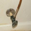 Photo #4: 5 star LEAK REPAIRS / PLUMBER