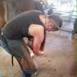 Photo #1: Farrier Service. Savage Shoes & Trims by Joelle Savage, APF