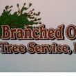 Photo #1: Branched Over Tree Service LLC