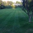 Photo #12: Briant's Lawn Care & Mulching