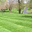 Photo #5: Briant's Lawn Care & Mulching